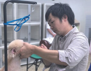 大分愛犬美容学院講師：松林智宣