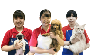夢かなってトリマーになった大分愛犬美容学院の卒業生